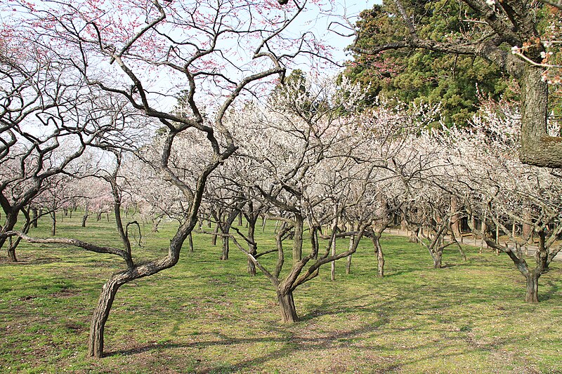 Kairaku-en