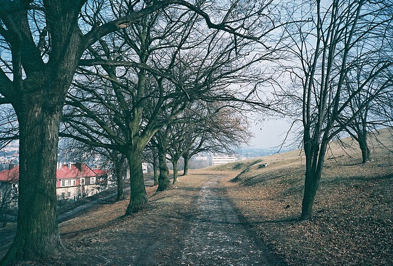 Krakus Mound