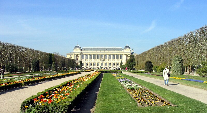 Jardin des plantes