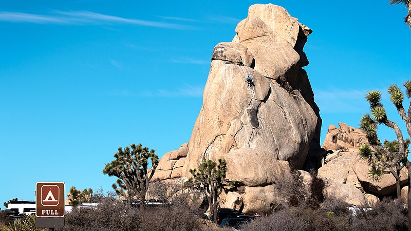 Joshua Tree National Park