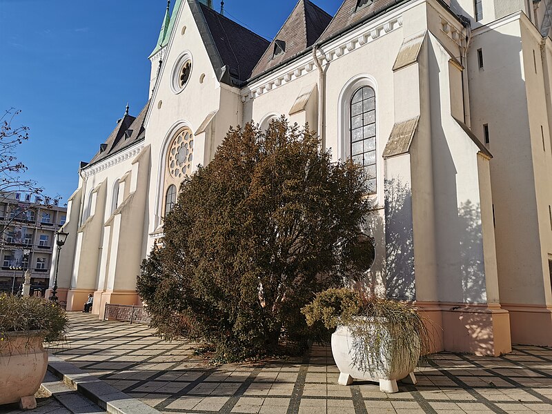 Our Lady of the Assumption Cathedral, Kaposvár
