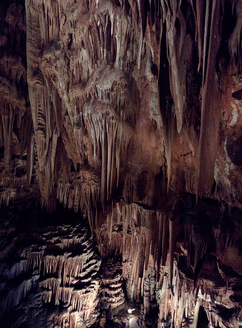 Saeva dupka cave