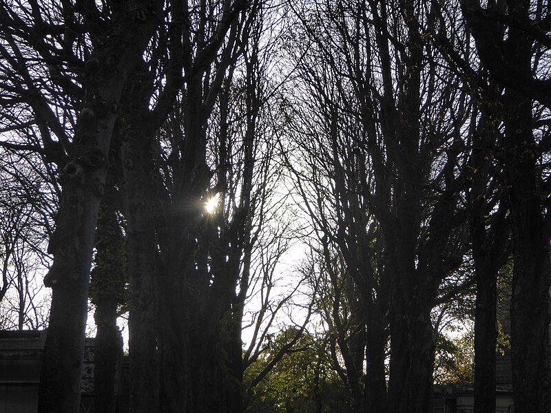 Montmartre Cemetery