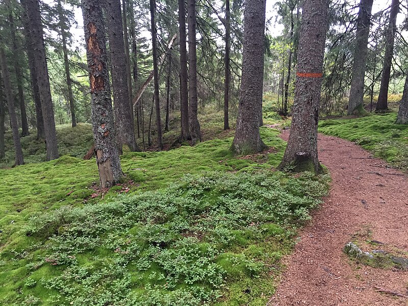 Garphyttan National Park