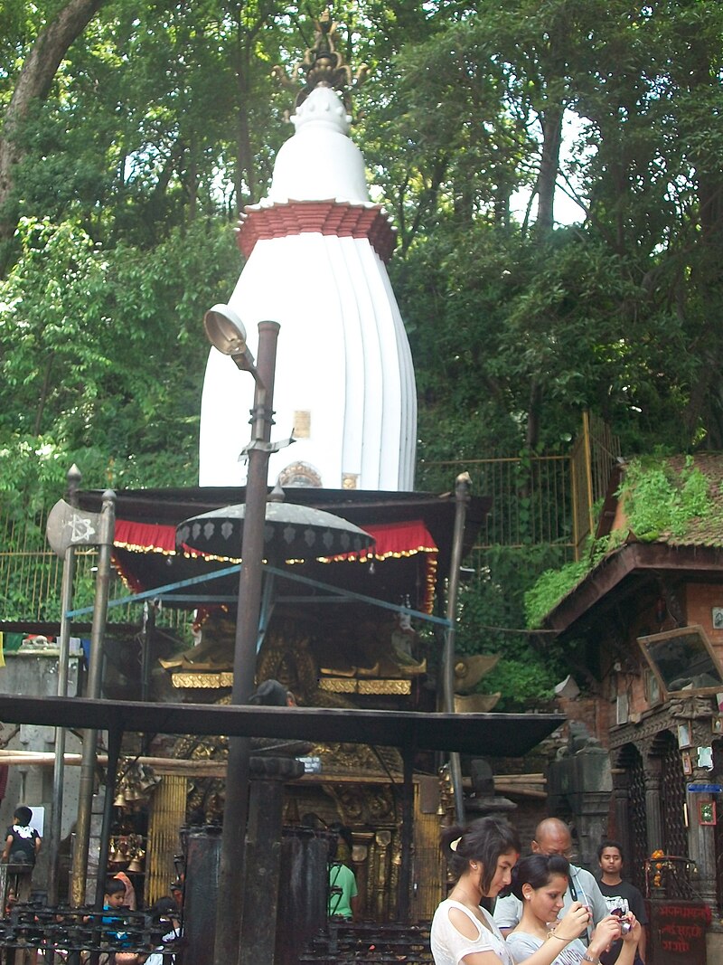 Suryavinayak Temple