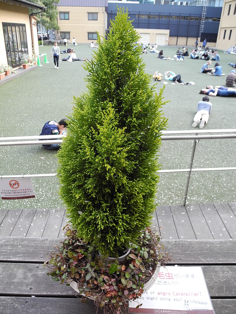 Kyoto International Manga Museum