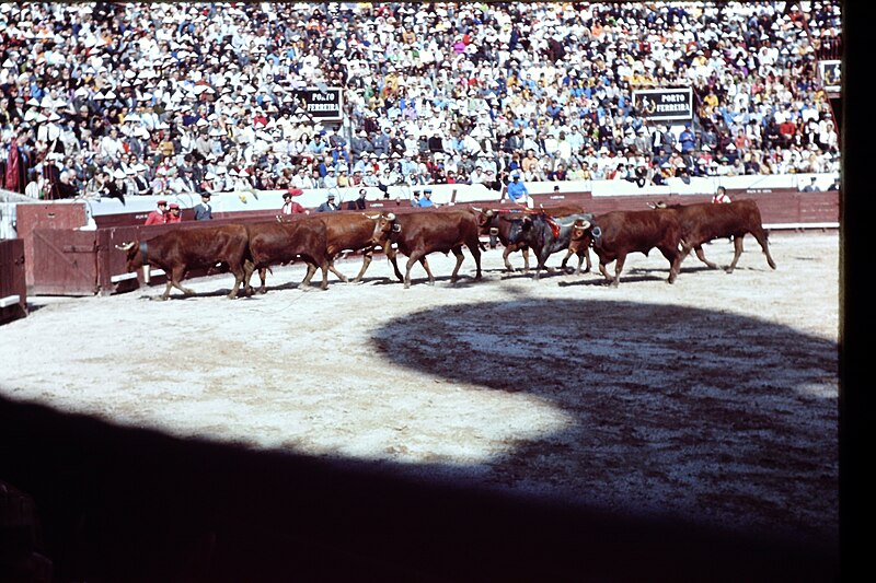 Campo Pequeno Bullring