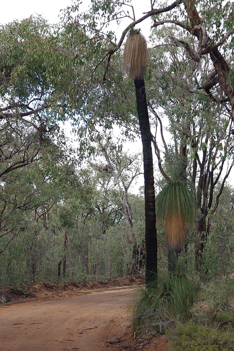 Avon Valley National Park