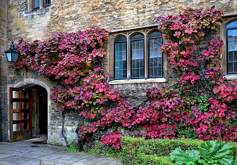 Emmanuel College