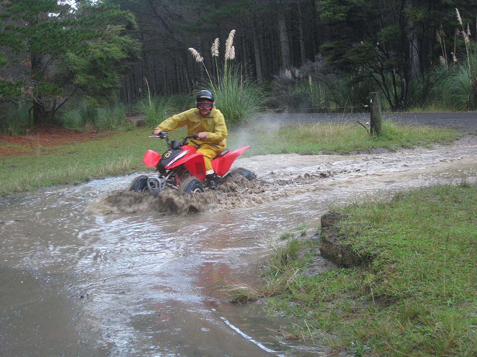 Woodhill Forest
