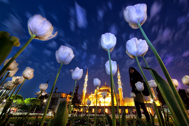 Sultan Ahmed Mosque