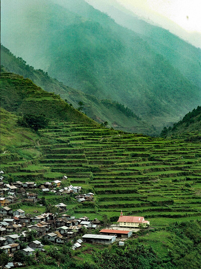 Banaue Rice Terraces