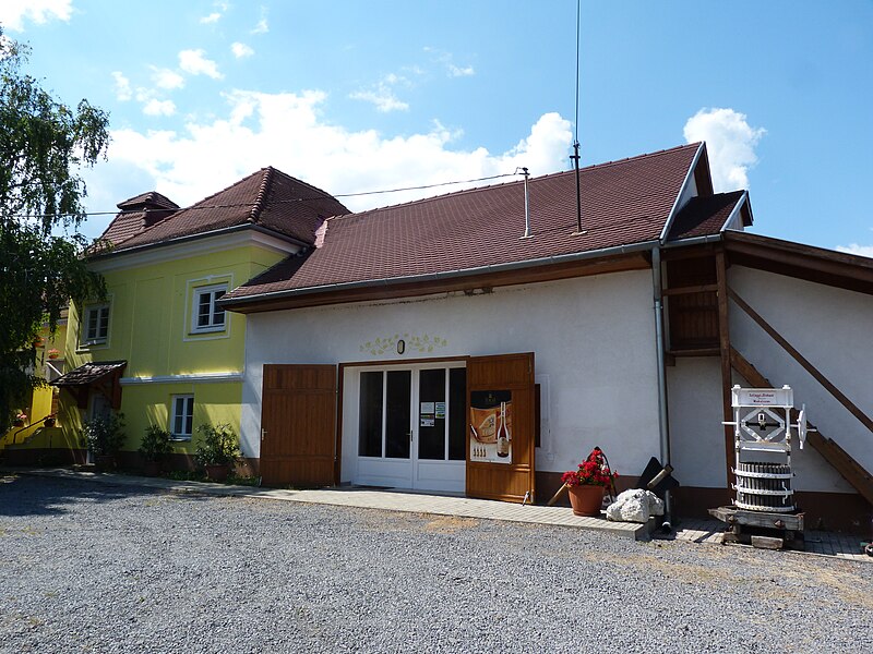 Tokaj wine region