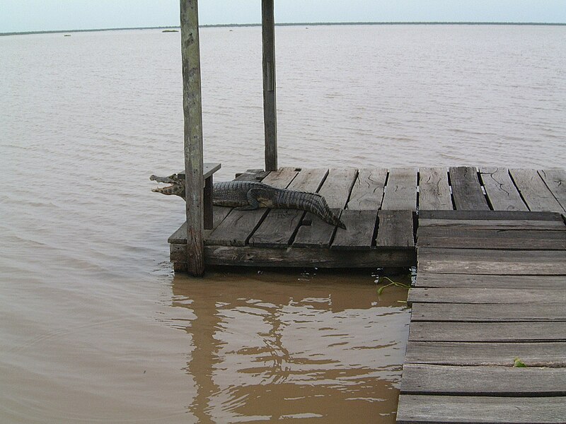 Río Pilcomayo National Park