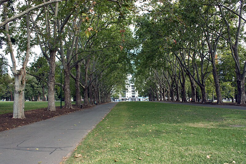 Carlton Gardens