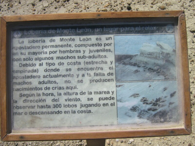 Monte León National Park