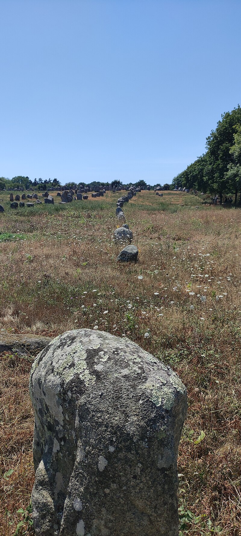 Carnac stones