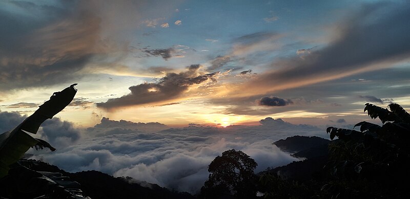 Kinabalu Park