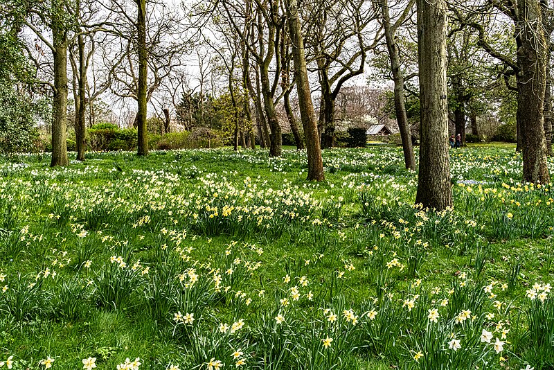 National Botanic Gardens