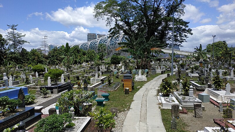 Saloma Link