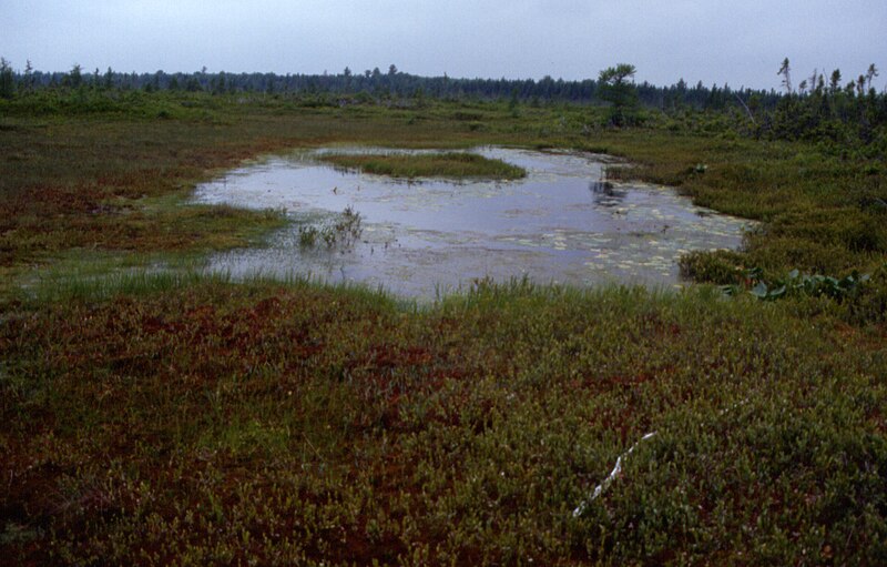 Kouchibouguac National Park