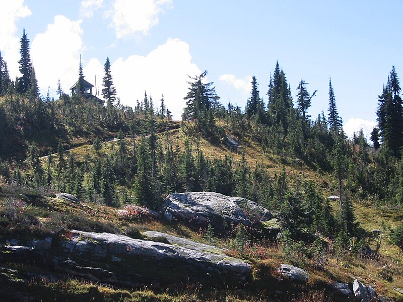 Mount Revelstoke National Park