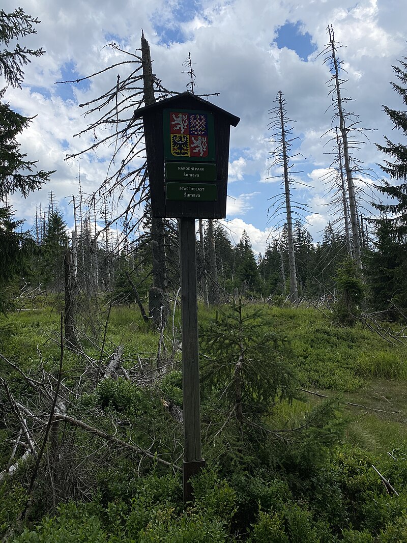 Šumava National Park