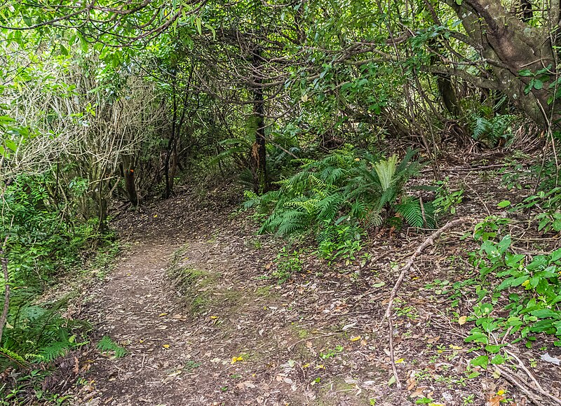 Te Urewera National Park