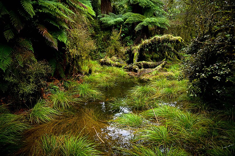 Fiordland National Park