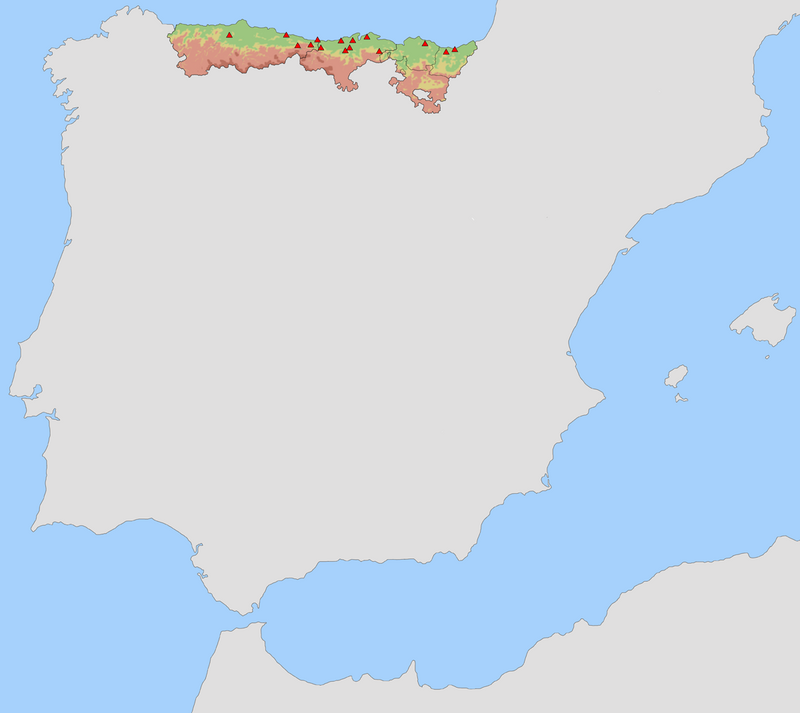 Cave of Altamira and Paleolithic Cave Art of Northern Spain