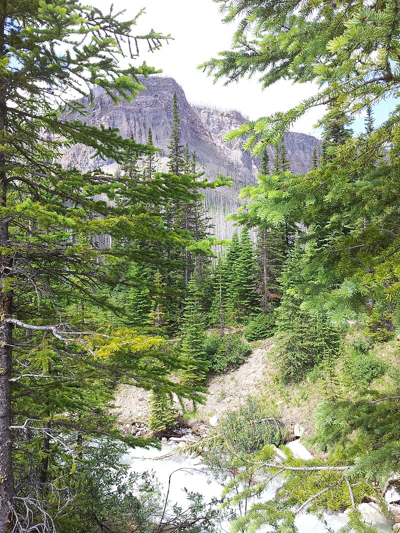 Kootenay National Park