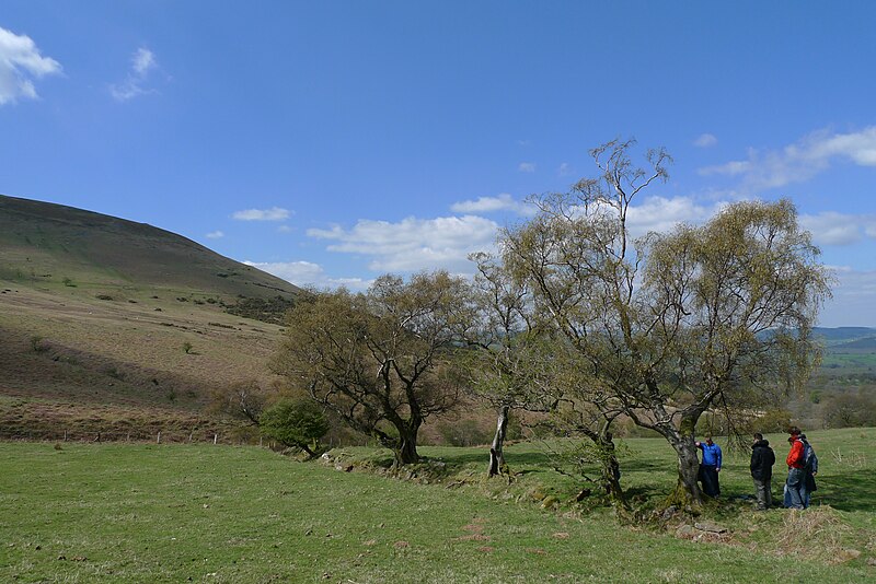 Brecon Beacons