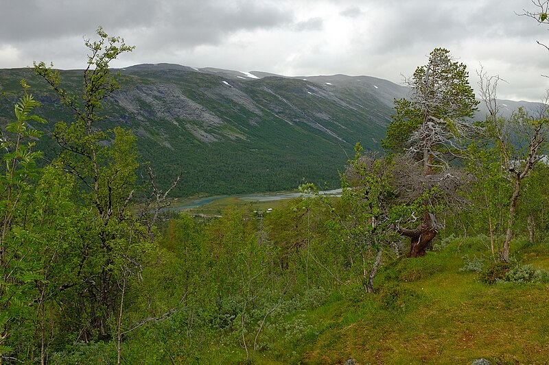 Breheimen National Park