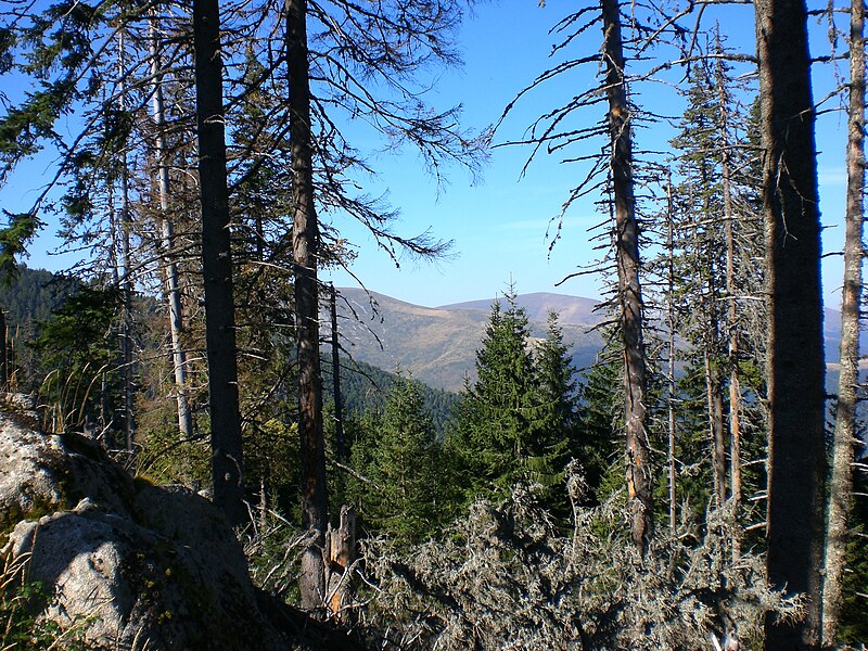 Tsaritchina Biosphere Reserve