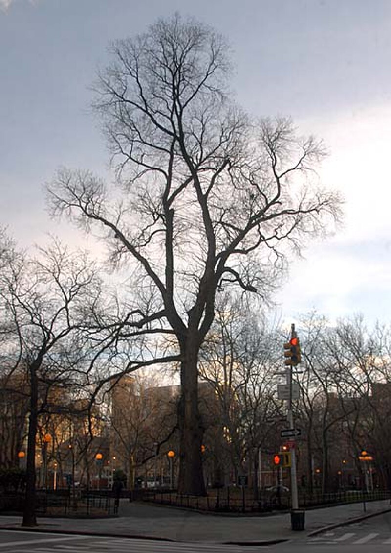 Washington Square Park