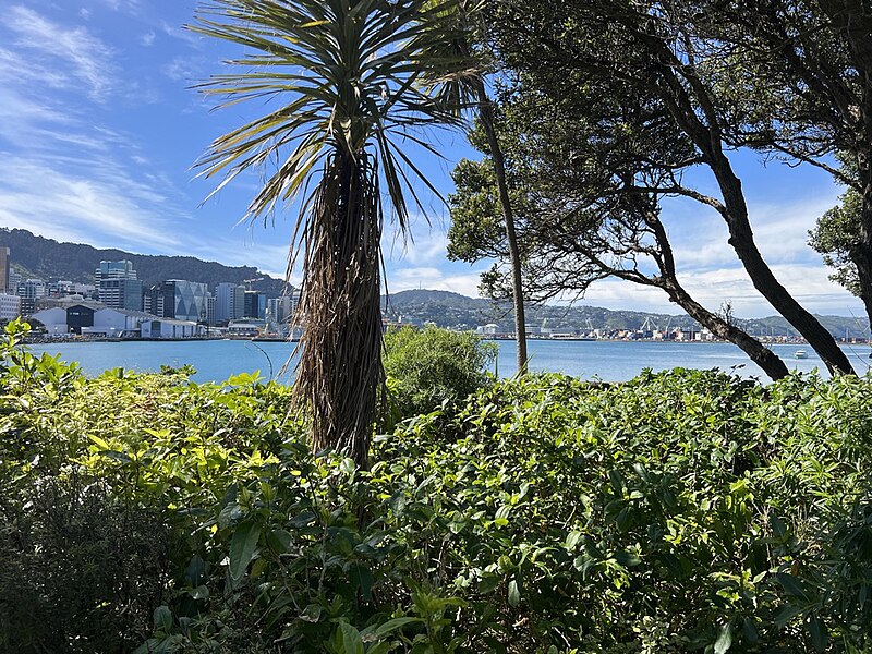 Museum of New Zealand Te Papa Tongarewa