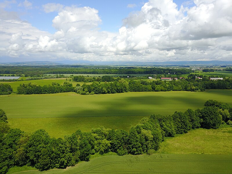 Litovelské Pomoraví Protected Landscape Area