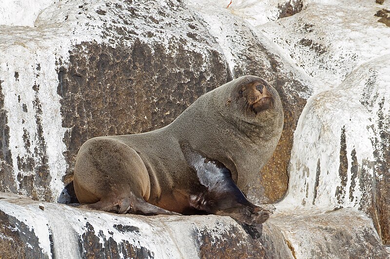 Tasman National Park