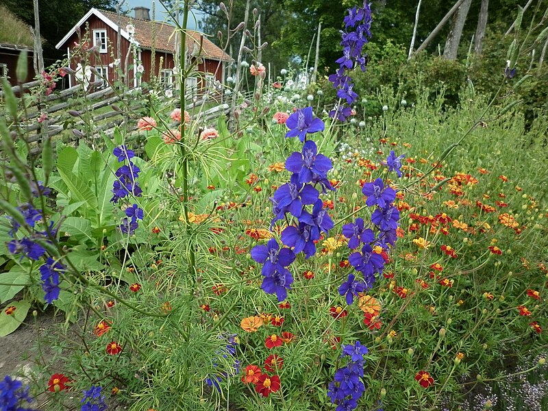 Råshult