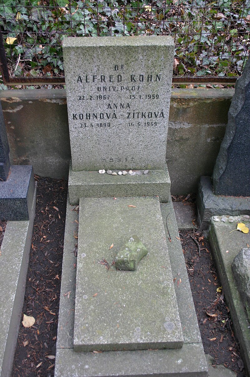 New Jewish Cemetery