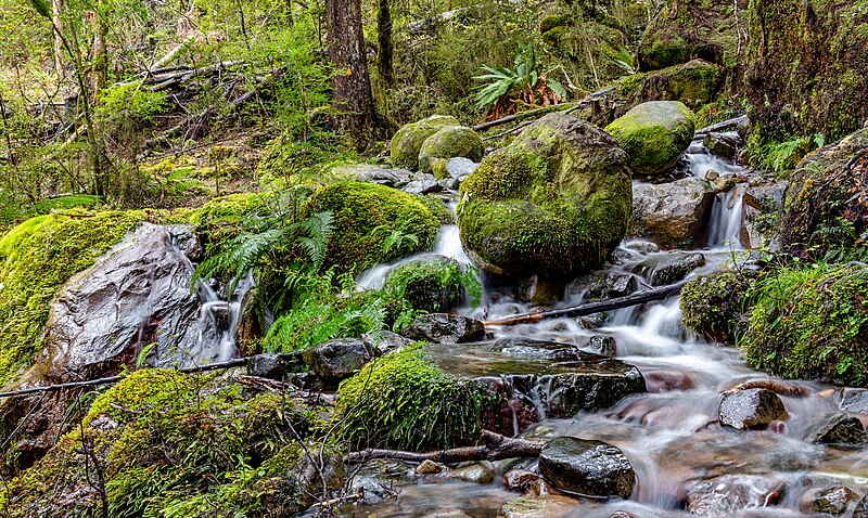 Nelson Lakes National Park