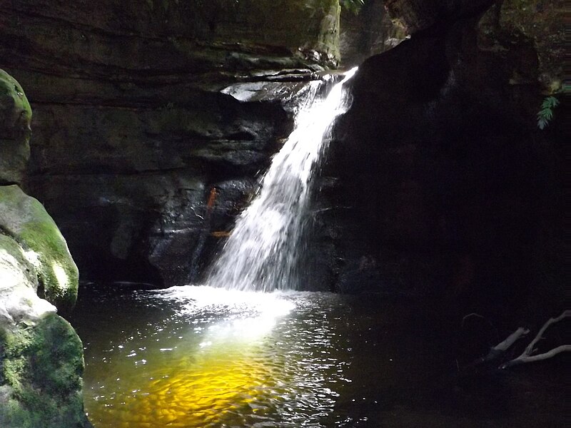 Greater Blue Mountains Area