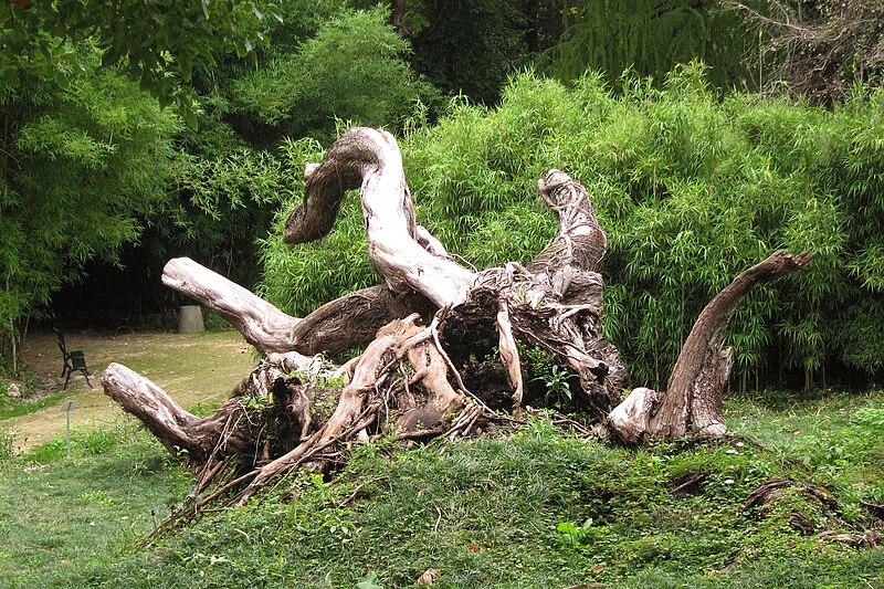 Jardim Botânico de Lisboa