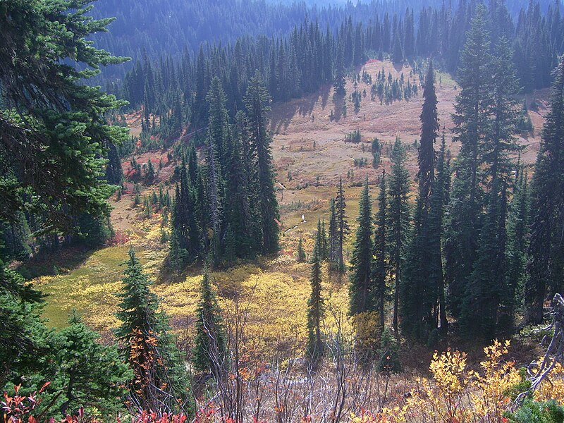 Mount Rainier National Park