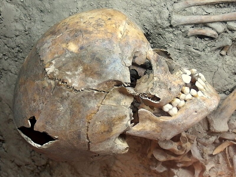 Varna Necropolis