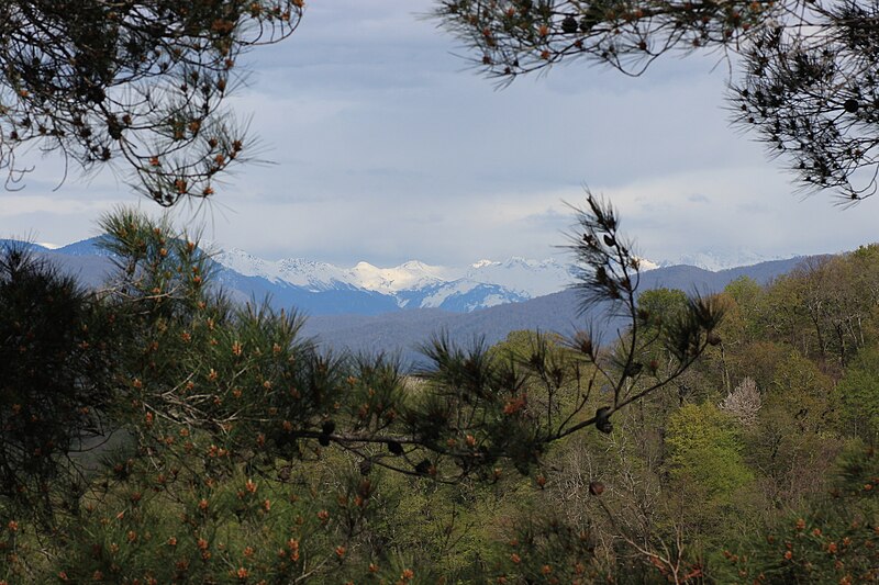 Sochi National Park