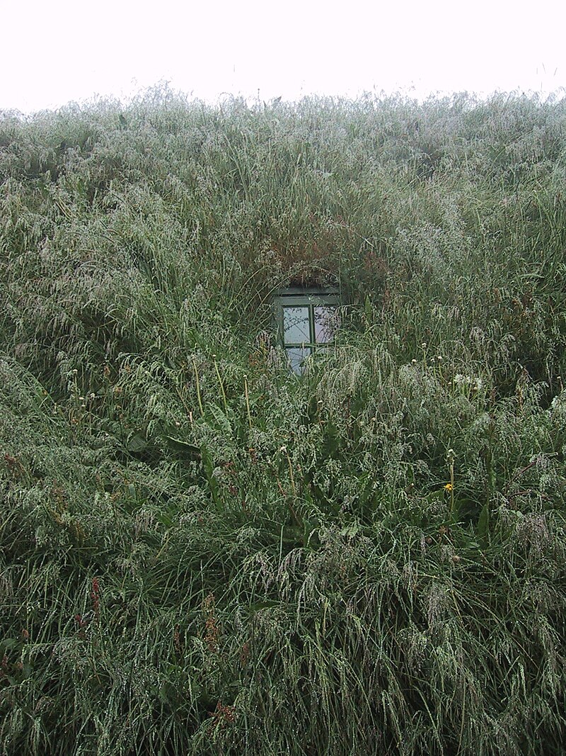Víðimýri