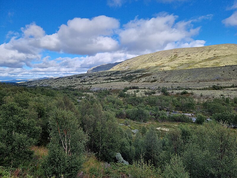 Rondane National Park