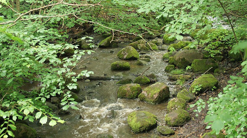Dalby Söderskog National Park