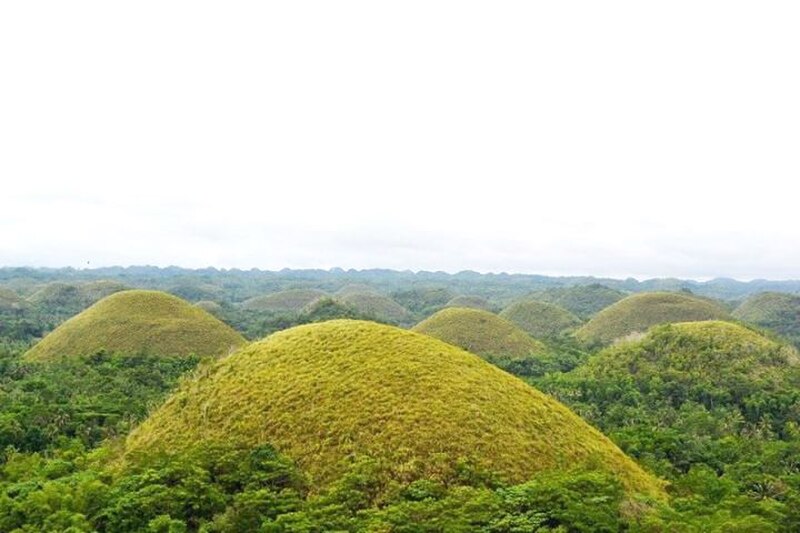 Chocolate Hills
